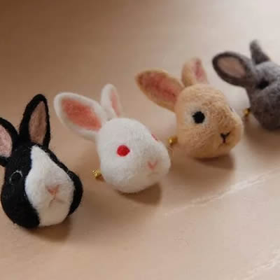 はねつきりんご画像6